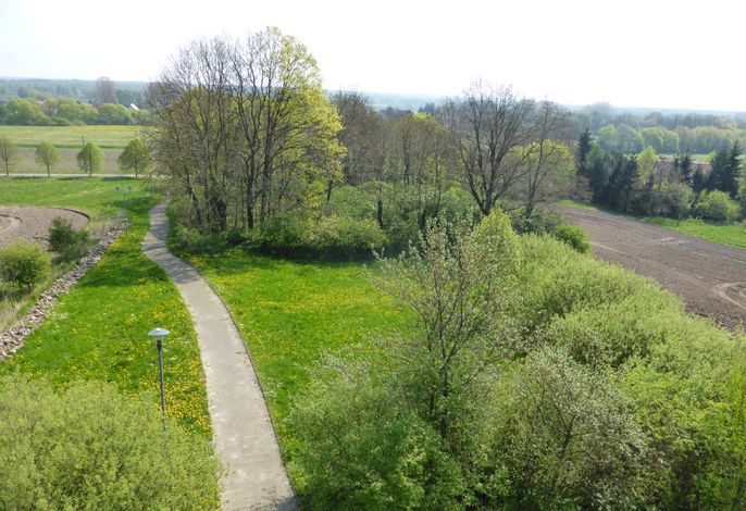 Bild 14