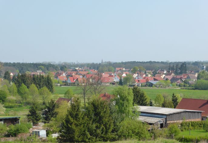 Bild 9
