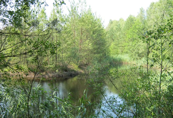 Bild 13
