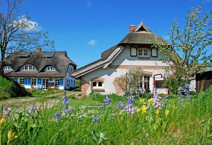 Ferienhaus Sonnenwinkel unterm Reetdach mit Sauna u. Kamin