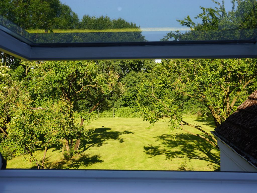 Tolle Aussicht in den Garten