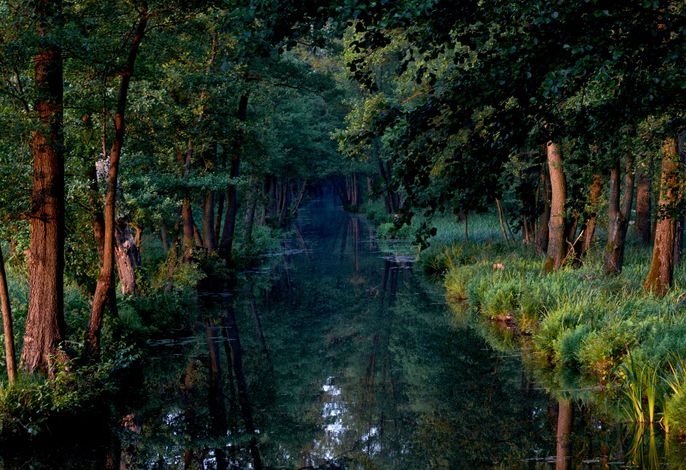 Ferienwohnung Spreewald pur