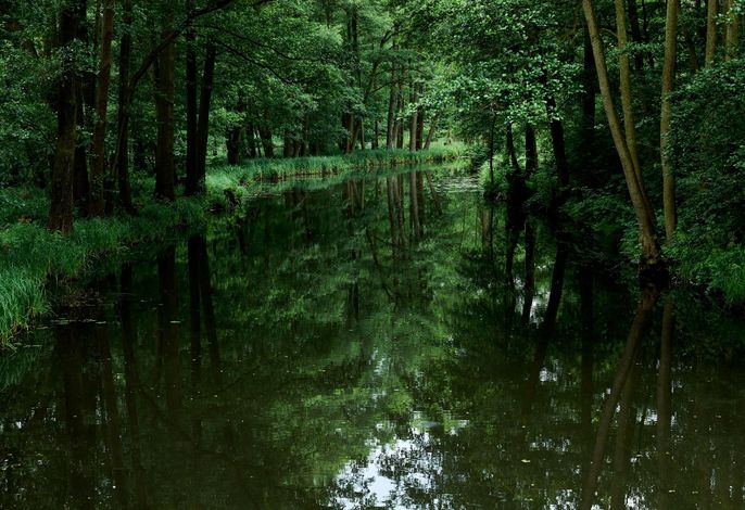 Ferienwohnung Spreewald pur