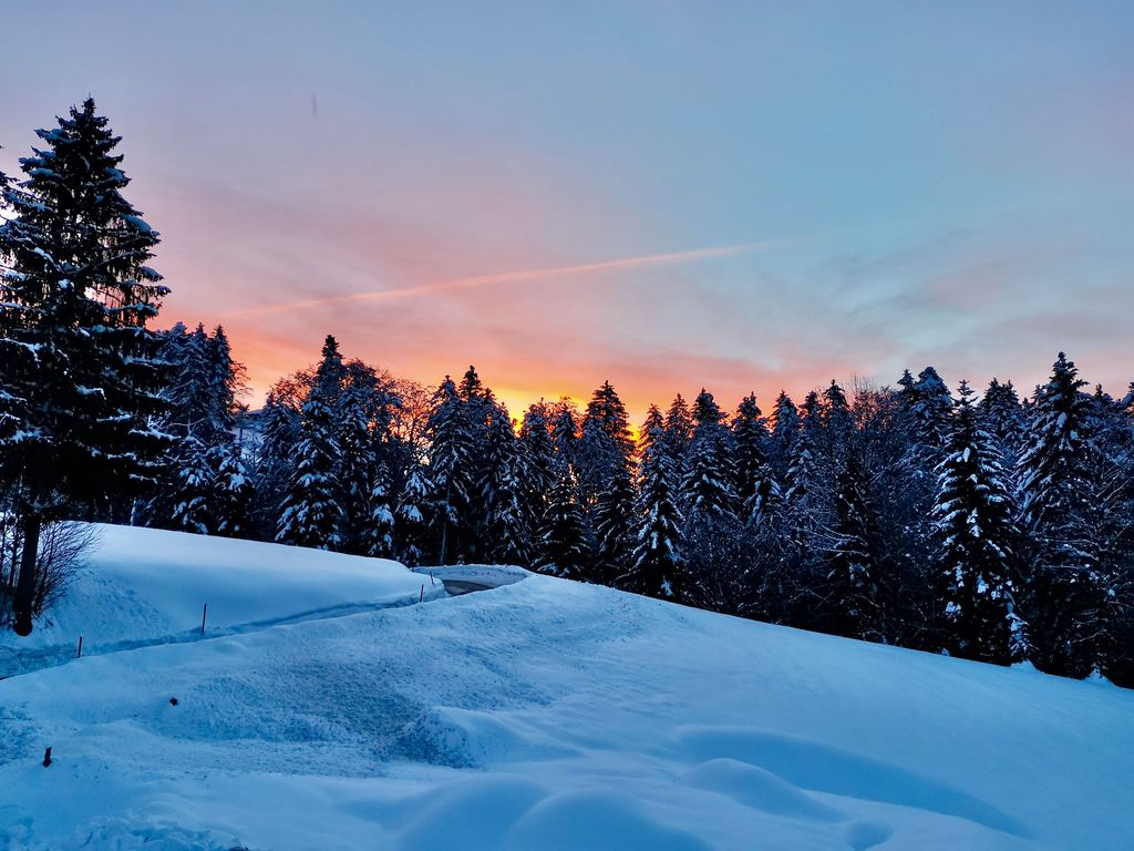 Die Morgensonne begrüßt dich im tief winterlichen Langenegg.