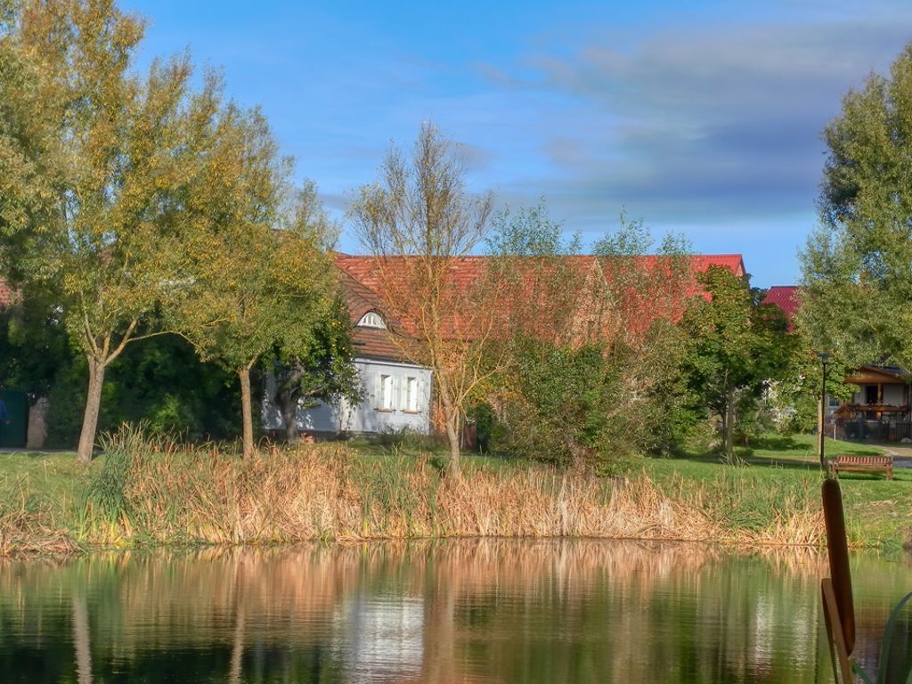 Blick vom Teich