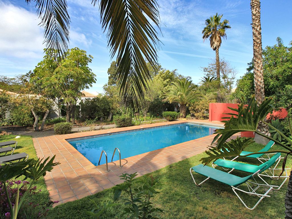 Pool im subtropischen Garten mit Palmen