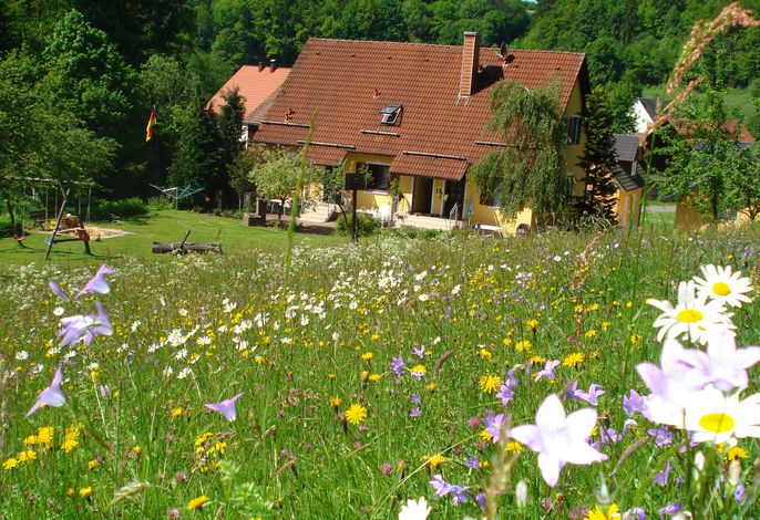 Ferienwohnung 3