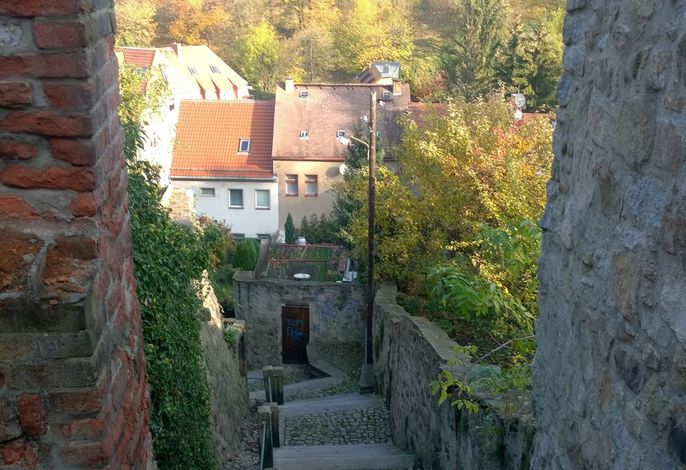 Bild 13