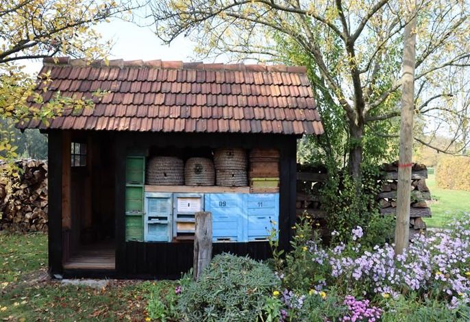 Ferienwohnung Weidengrund Burg Kauper