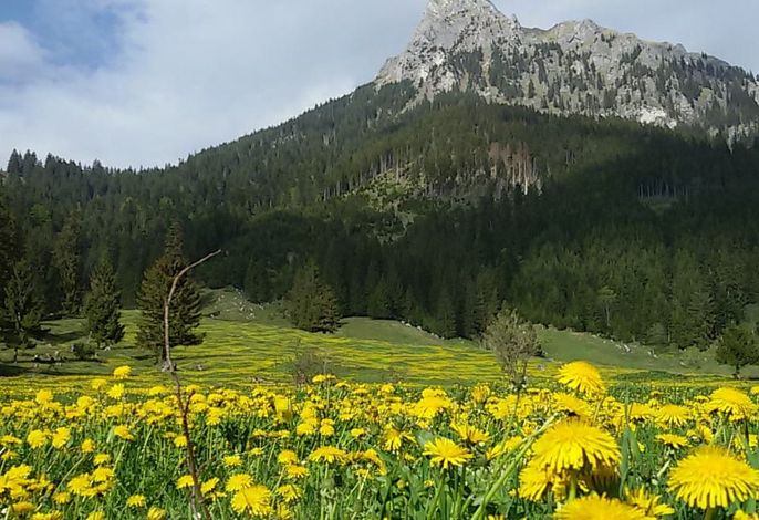 Bild 17