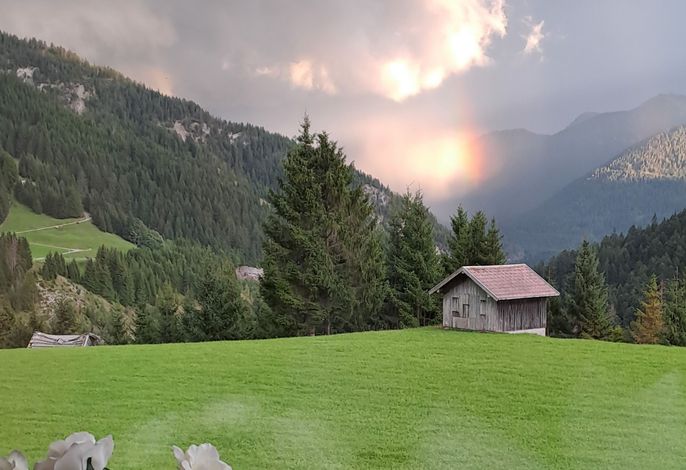Bild 14