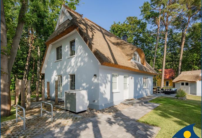 + Seebär Bild 2