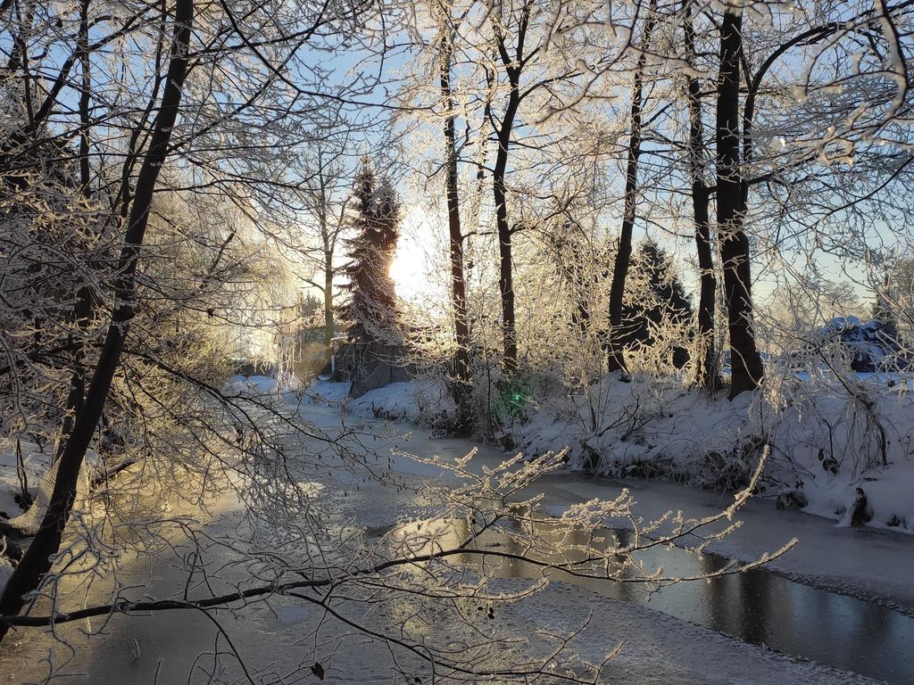 Blick über das Holunderfliess ....heute Nordfliess