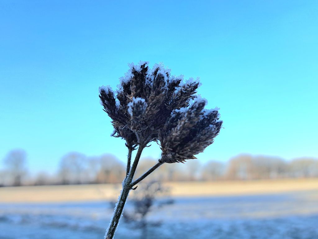 Winterlandschaft