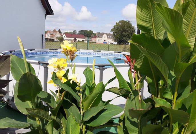 Ferienwohnungen Kusche