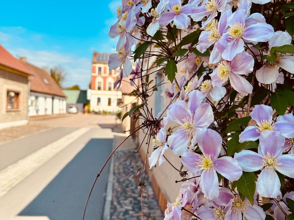 Pension Am Stadtgraben