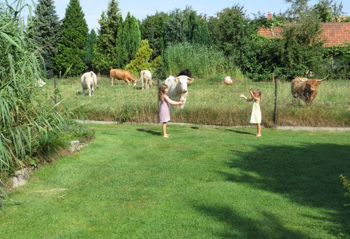 Spreewaldferienwohnungen Stein - Ferienwohnungen