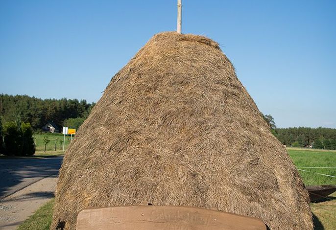 Spreewaldferienwohnungen Stein - Ferienwohnungen