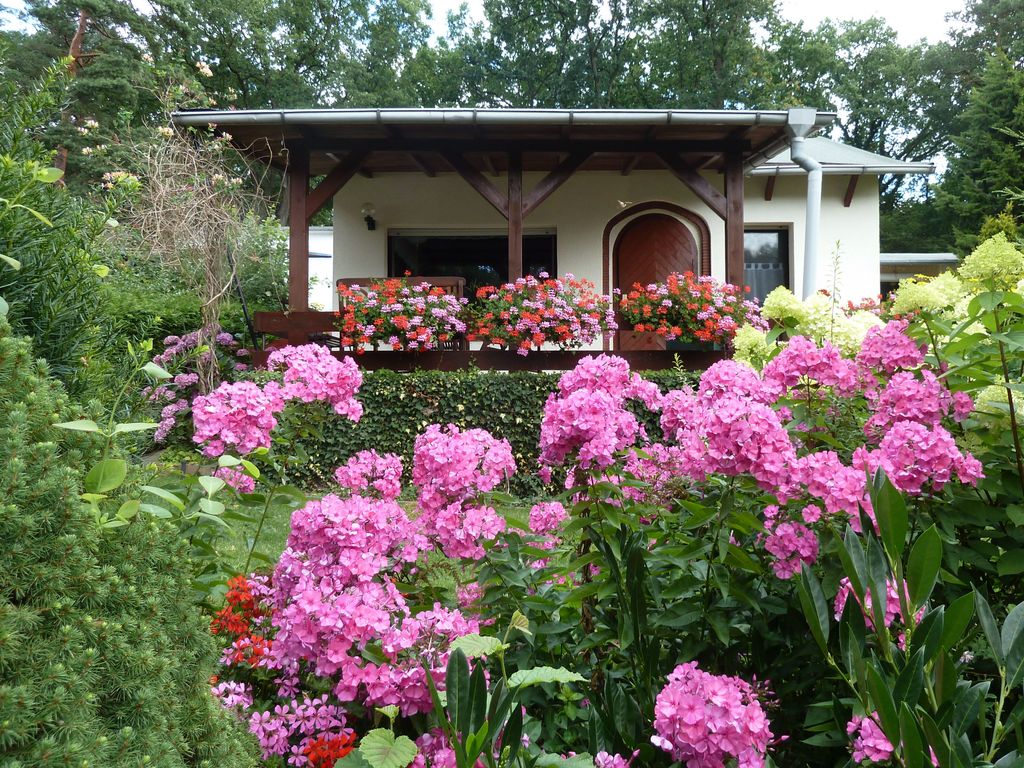Blick zur Terrasse