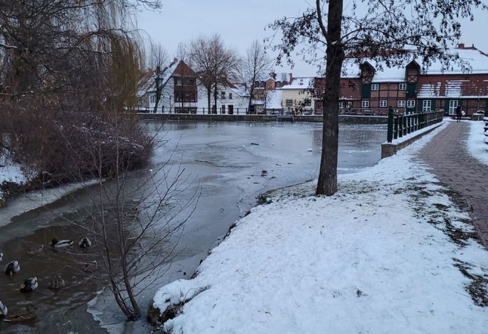 Bild 14