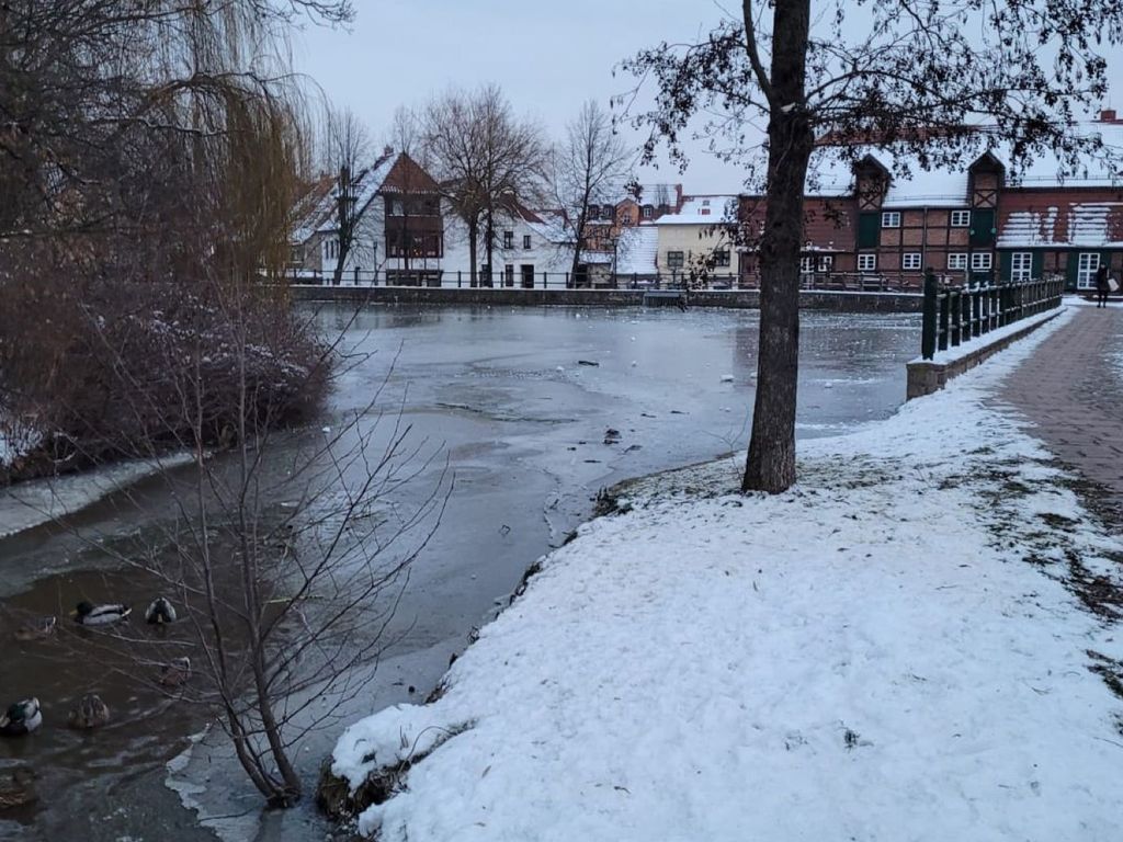 Blick auf das Ferienhaus über den Mühlenteich