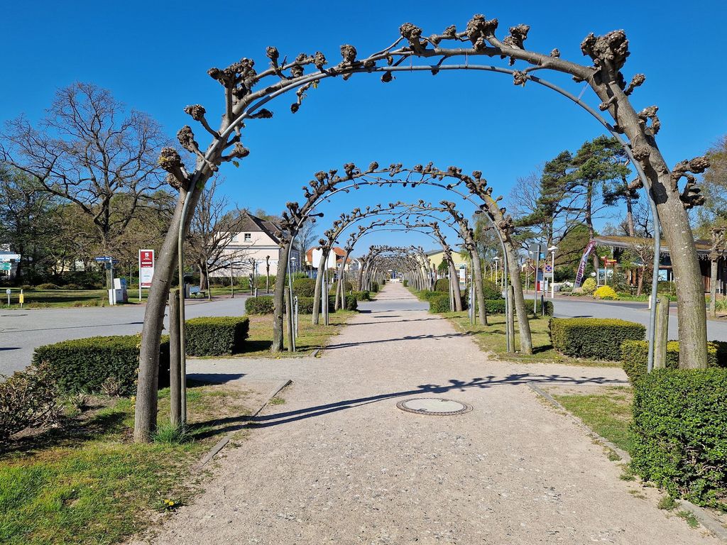 Umgebung Strandstraße Baabe