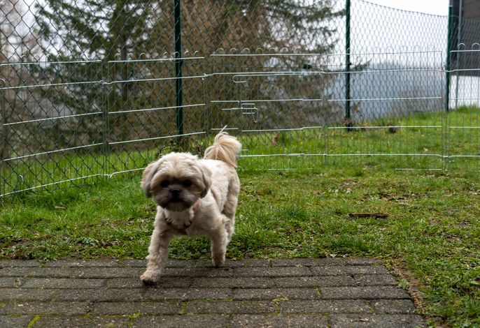 Bild 5