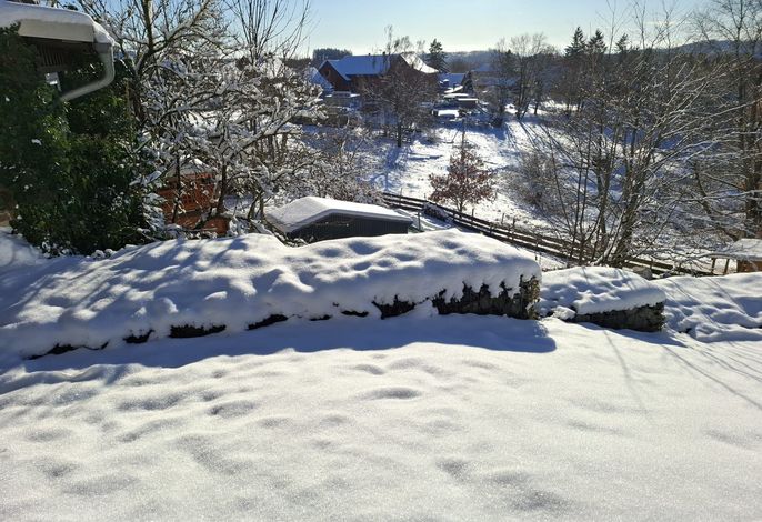 Bild 16
