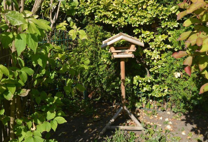 Bild 14