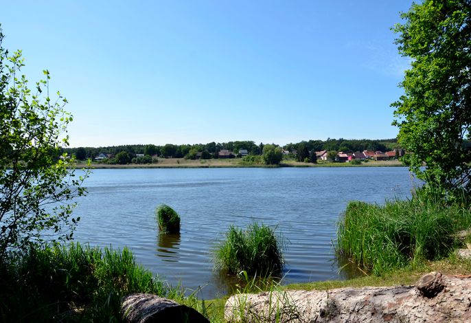 Bild 9