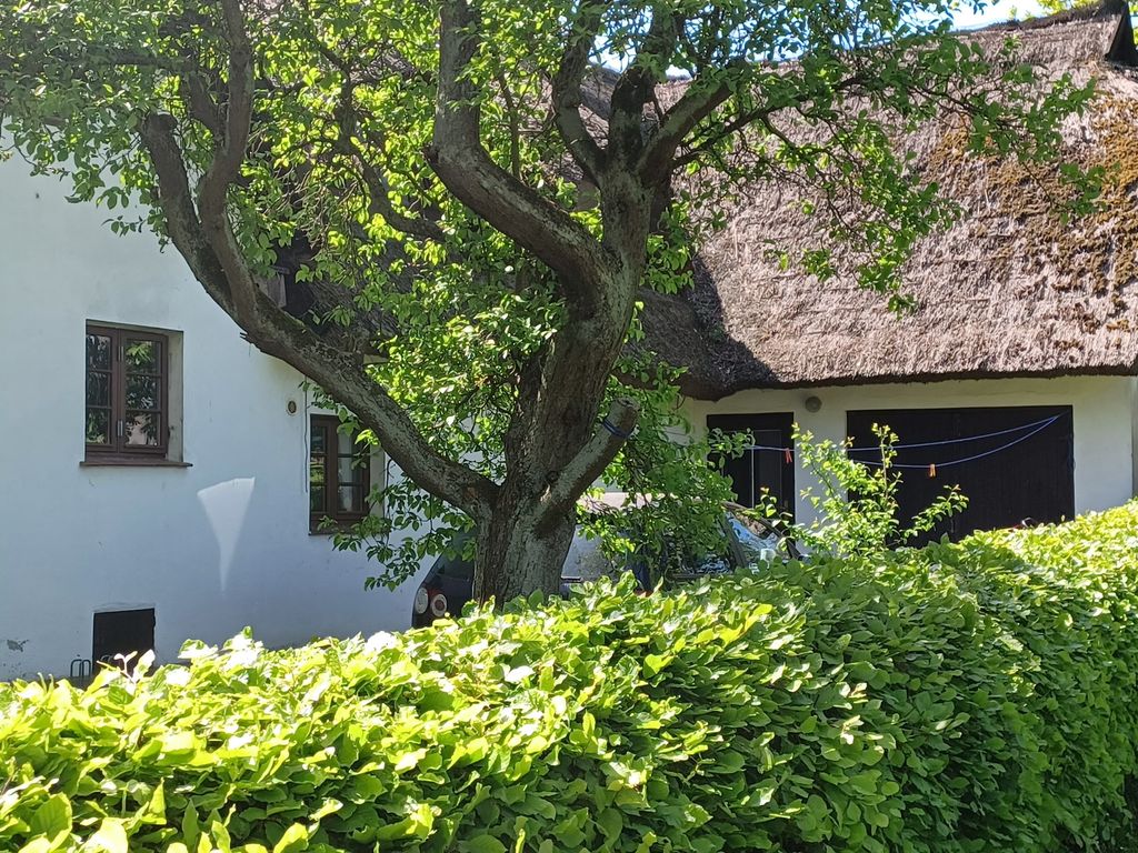 FW im grünen Weg