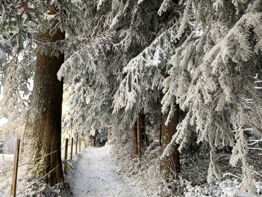 Haus Berchtold - Wanderweg Richtung Sulzberg