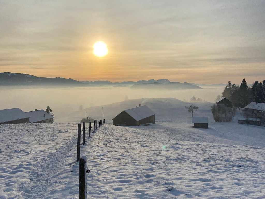 Haus Berchtold - Wanderweg gleich vor dem Haus