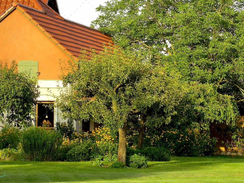 Wohnen, Natur & Kultur im Spreewald - Sommergarten-Suite