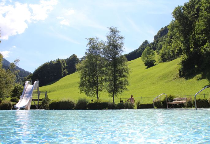 Bild 15