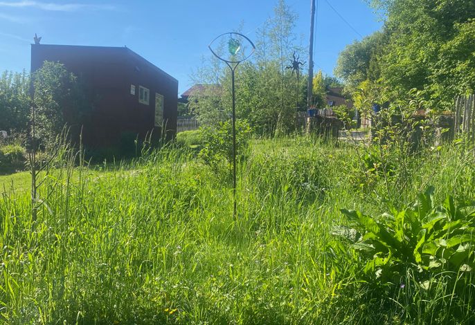 Bild 19
