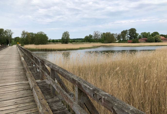 Bild 19