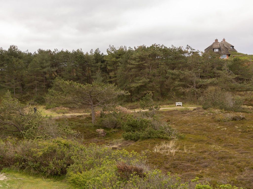 Blick vom Balkon