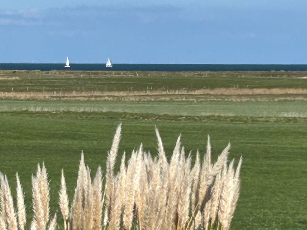 Blick zu den Seegelbooten