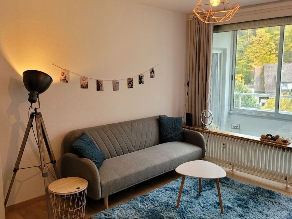 Ferienwohnung HarzHome