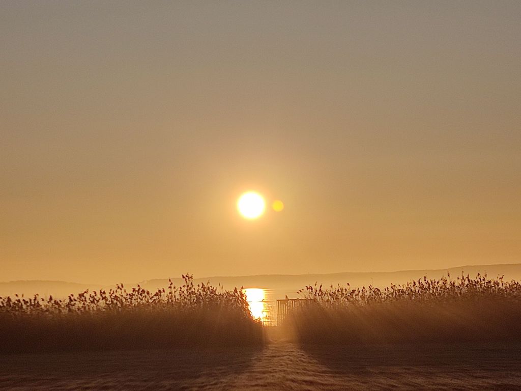 Sonnenaufgang im Winter