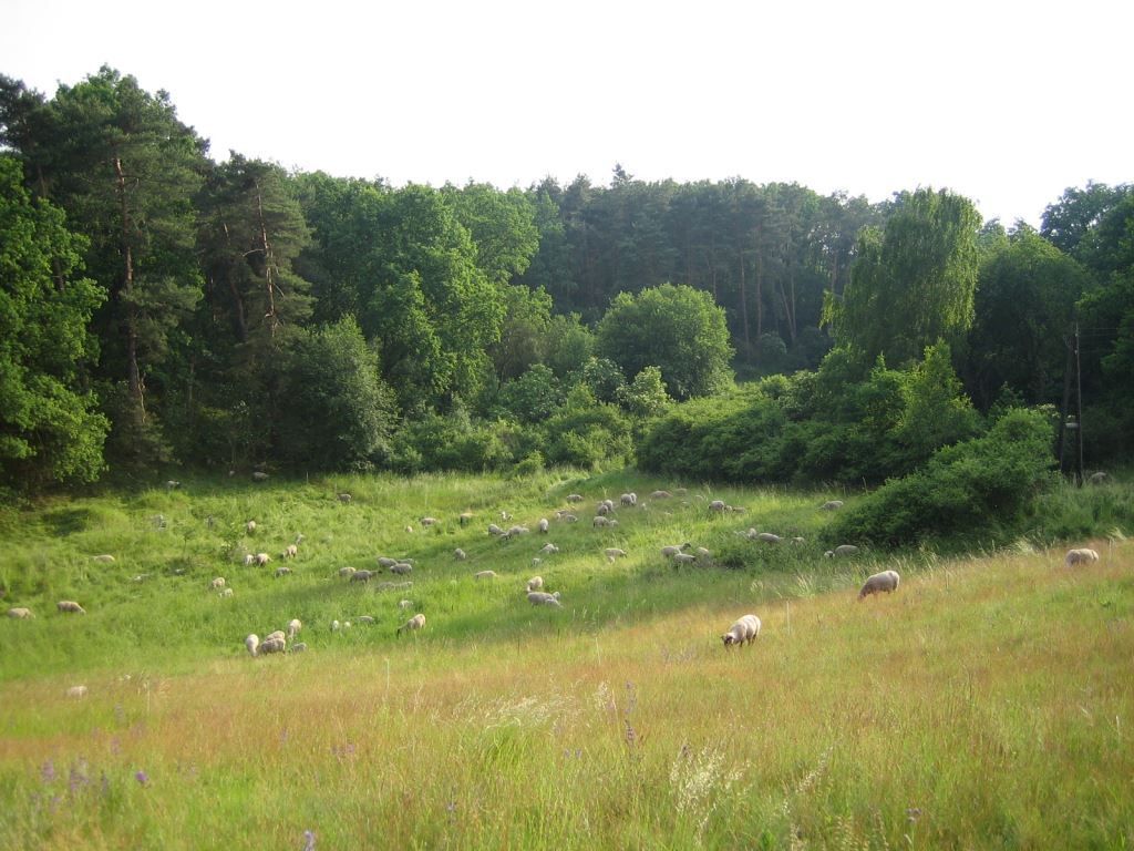 Aussicht von der Ferienwohnung