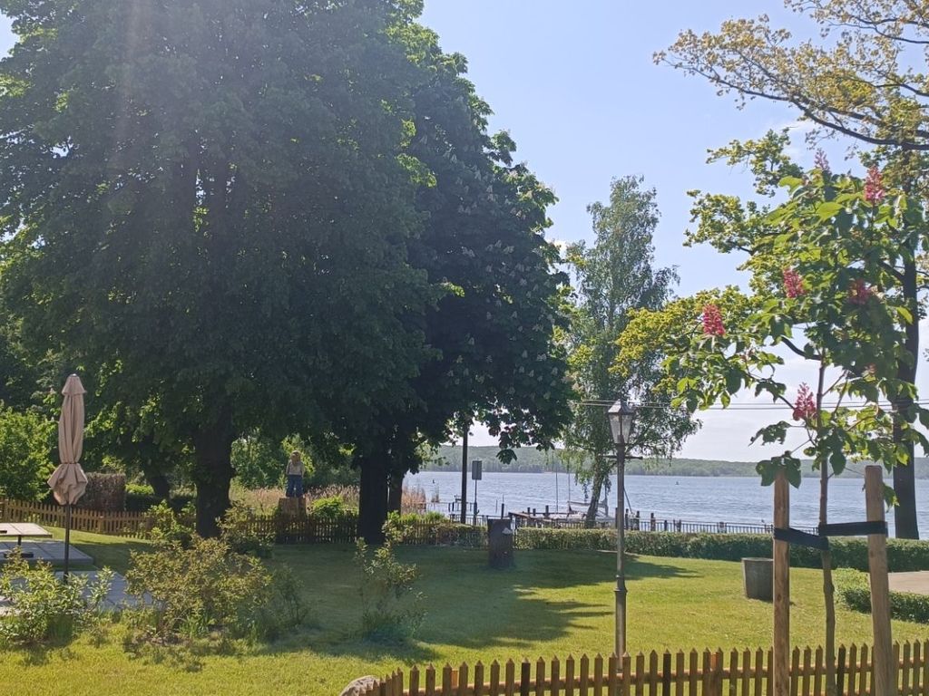 Blick in den Garten