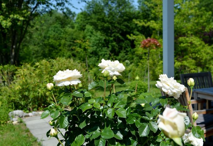 Bild 22