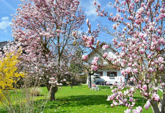 Haus Magnolia