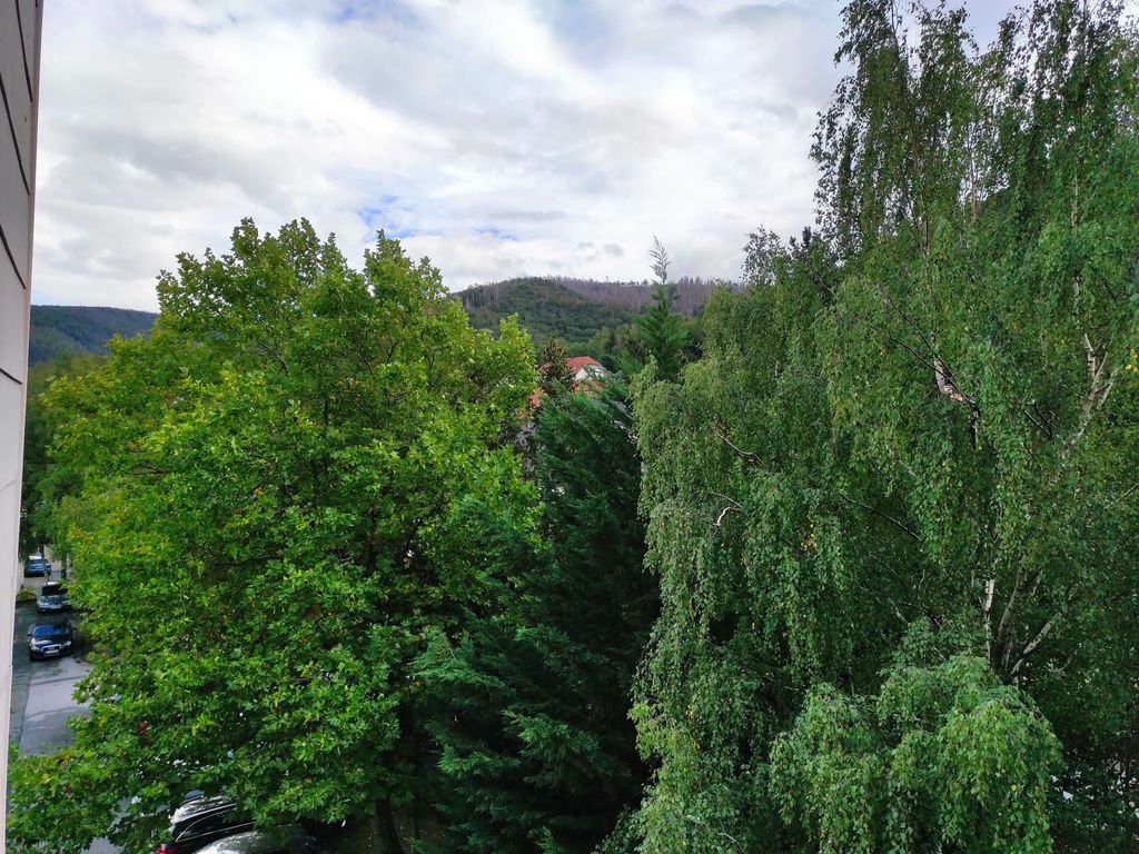 Ferienwohnung Waldwiese