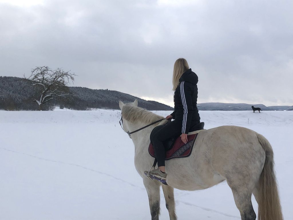 Ferienwohnungen Landliebe Auszeit mit Wohlgefühl