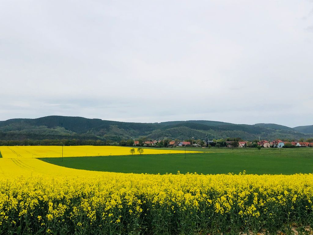 Ferienwohnungen Landliebe Auszeit mit Wohlgefühl