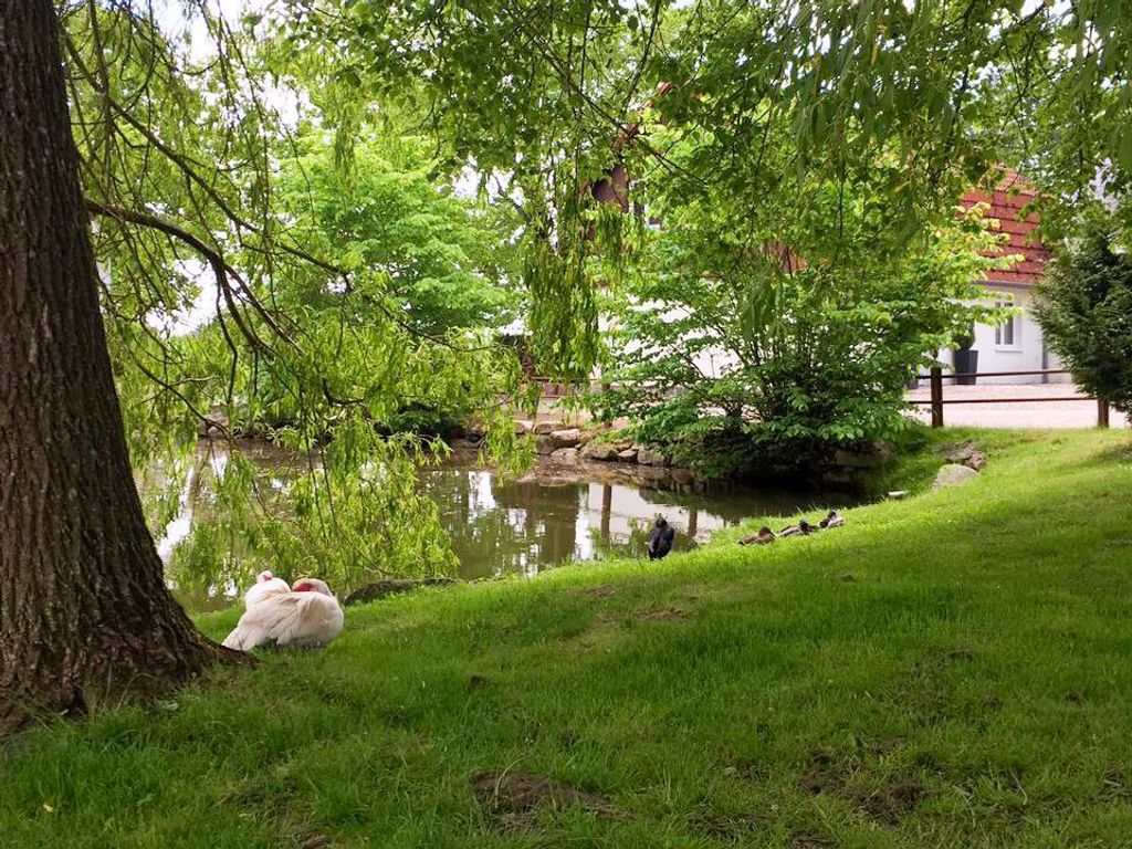 Am Naturteich bei Ferienhof Baustrup