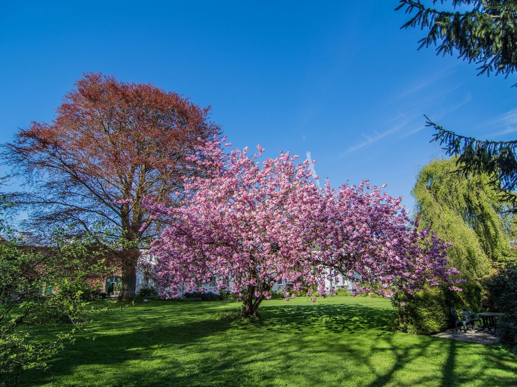 Die Natur um Ferienhof Baustrup